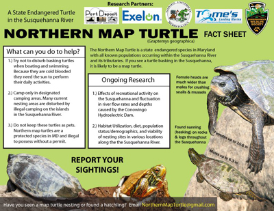 Map Turtle Fact Sheetthumbnal